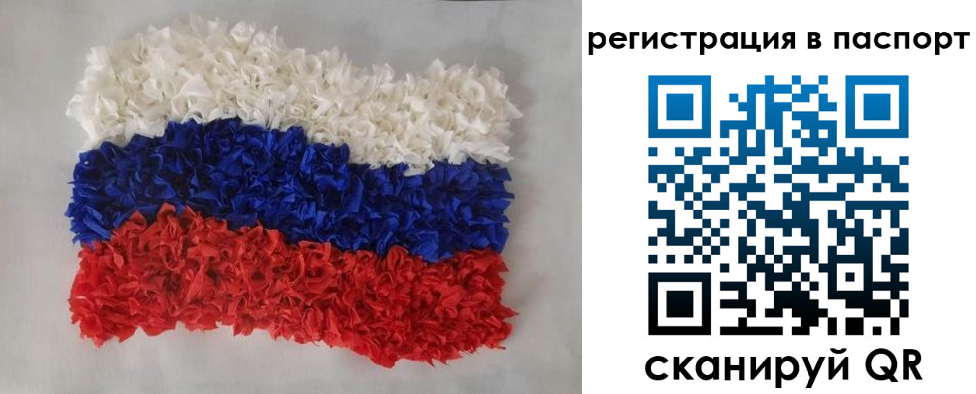 прописка регистрация в Елизово